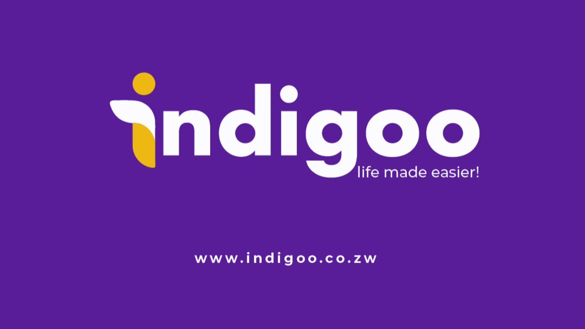 Indigoo Solutions: Transforming a Vision into a Brand That Speaks