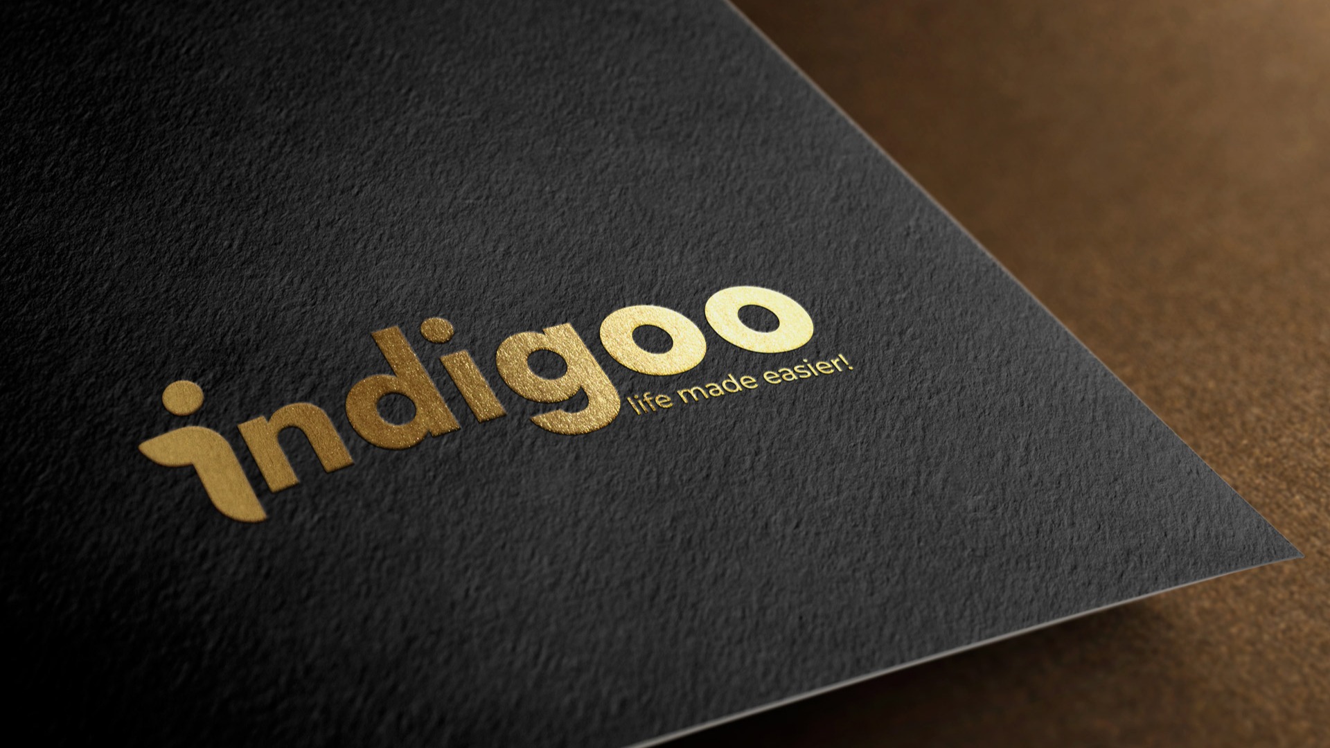 Gallery image for Indigoo Solutions: Transforming a Vision into a Brand That Speaks